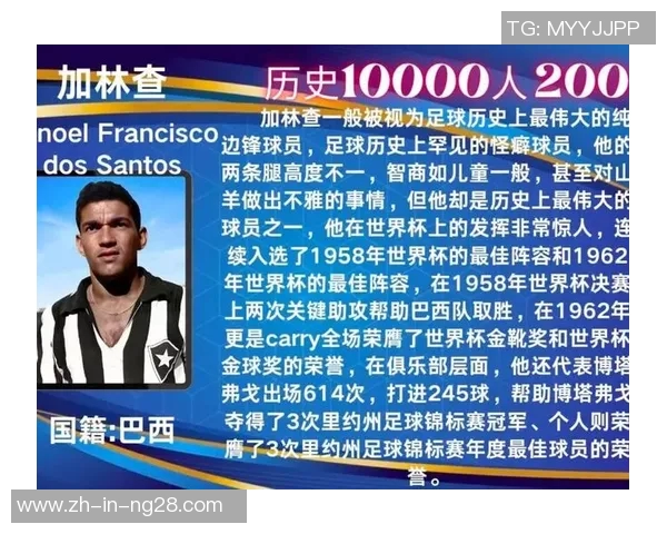 威廉：从巴西天才到英超巨星的辉煌历程与足球人生